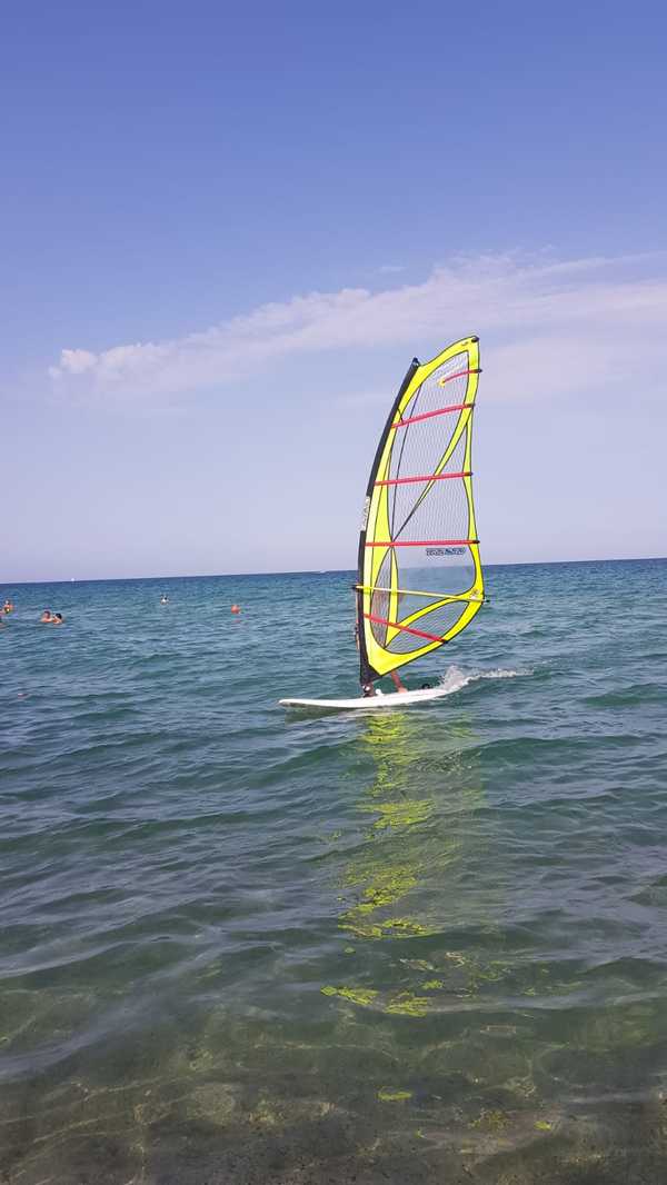Tribord -