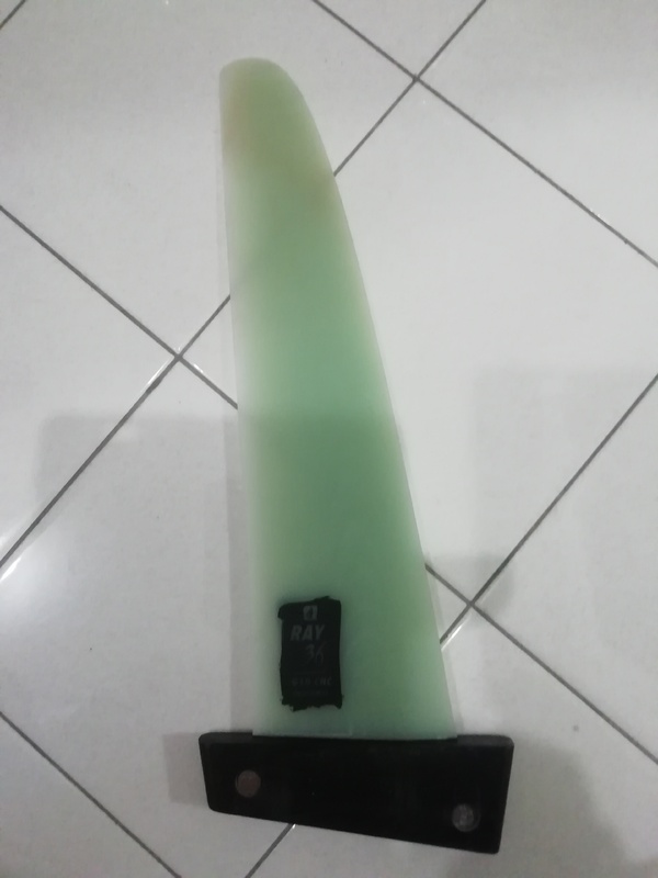 Fanatic - Pinna Fanatic Ray 36