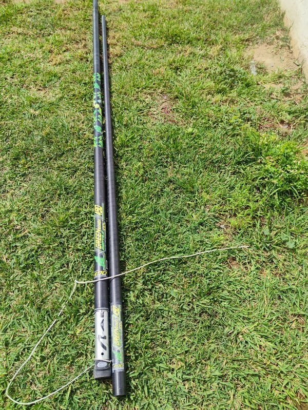 Reptile - green mamba 490