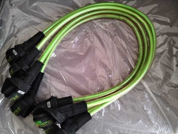Reptile - Cimette FIX 34"