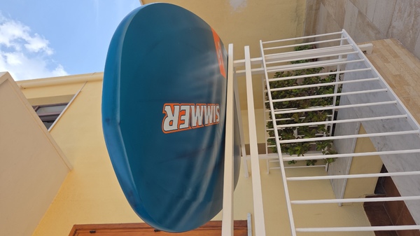 Simmer Style - Black bird