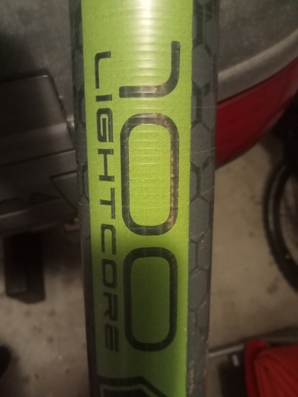 Reptile - Lightcore 100