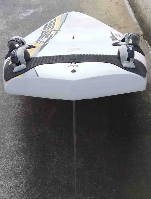 F2 - T Rex 100 carbonio foil