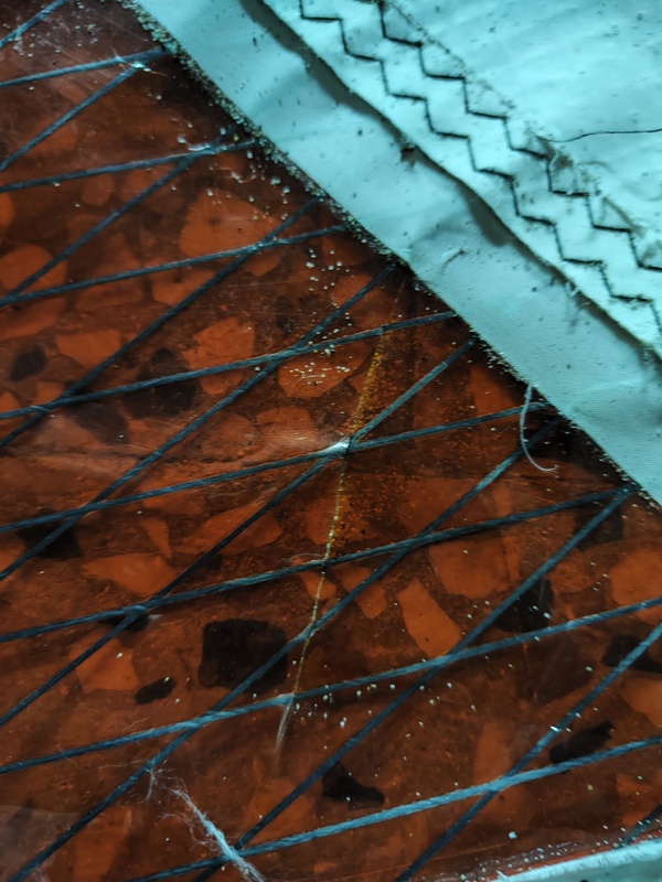 Loft Sails - Racing Blade