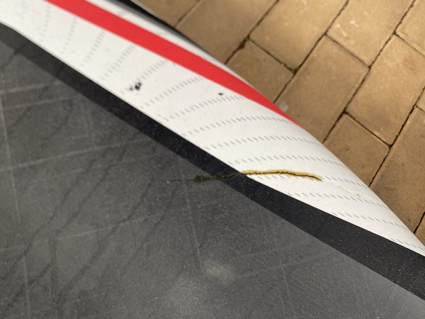 Fanatic - Falcon 113