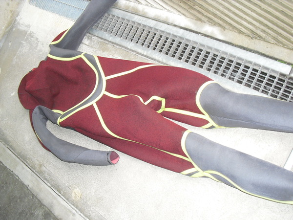 Ion - Semistagna invernale