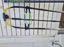 Point 7  Carbon wawe 150/200