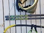 Reptile  Phyton 100 /370