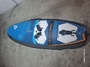 Fanatic  Freestylewave