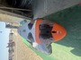 Rrd  Firemove 110 LTD