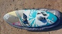 Fanatic  Skate 90 freestyle